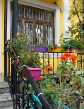 Colors Hostel